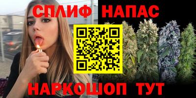 шишки Брянск