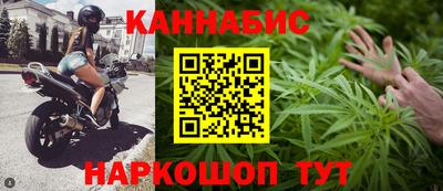 шишки Брянск