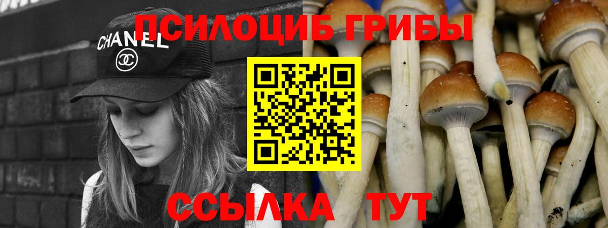 Псилоцибиновые грибы ЛСД Каменск-Уральский